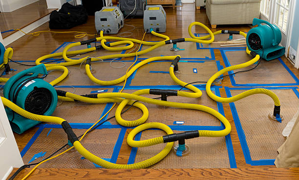 Professional Crawl Space Water Removal technician working in Darien, GA